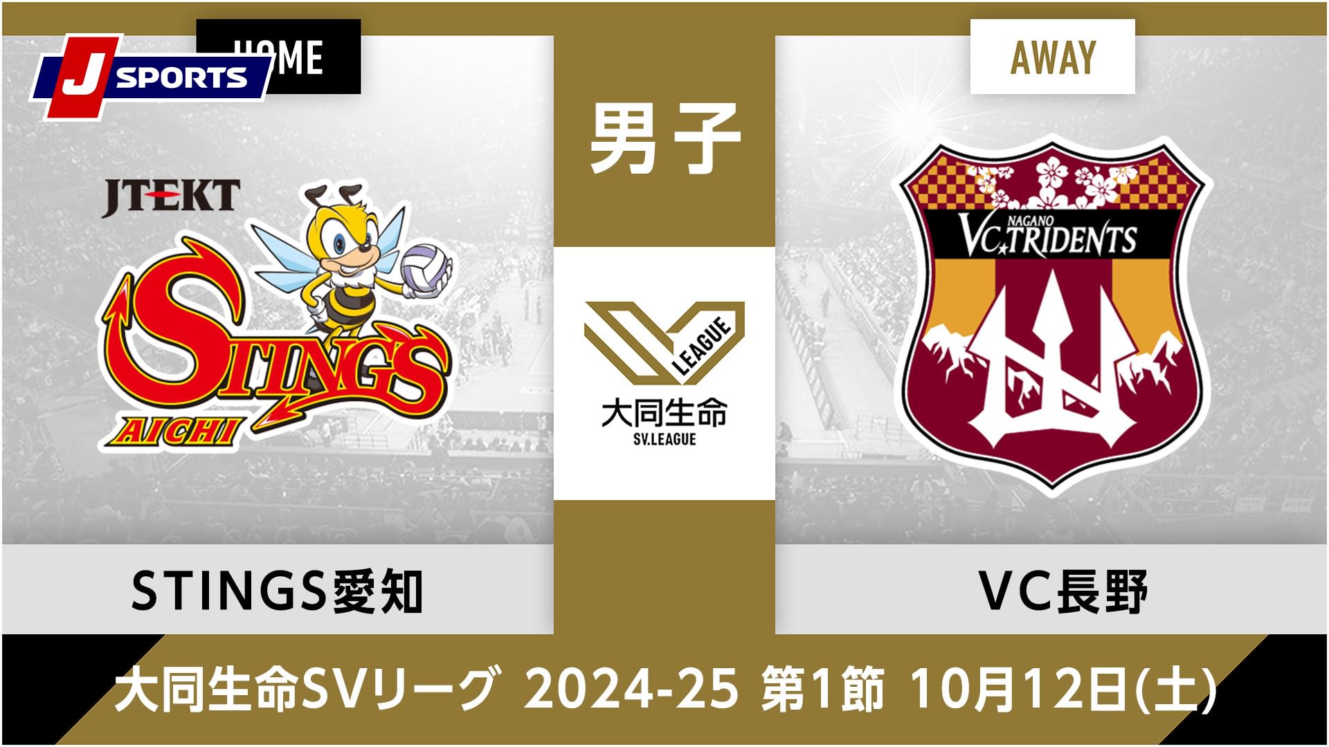 大同生命SVリーグ 2024-25男子 第1節ジェイテクトSTINGS愛知 vs. VC長野トライデンツ(10/12)