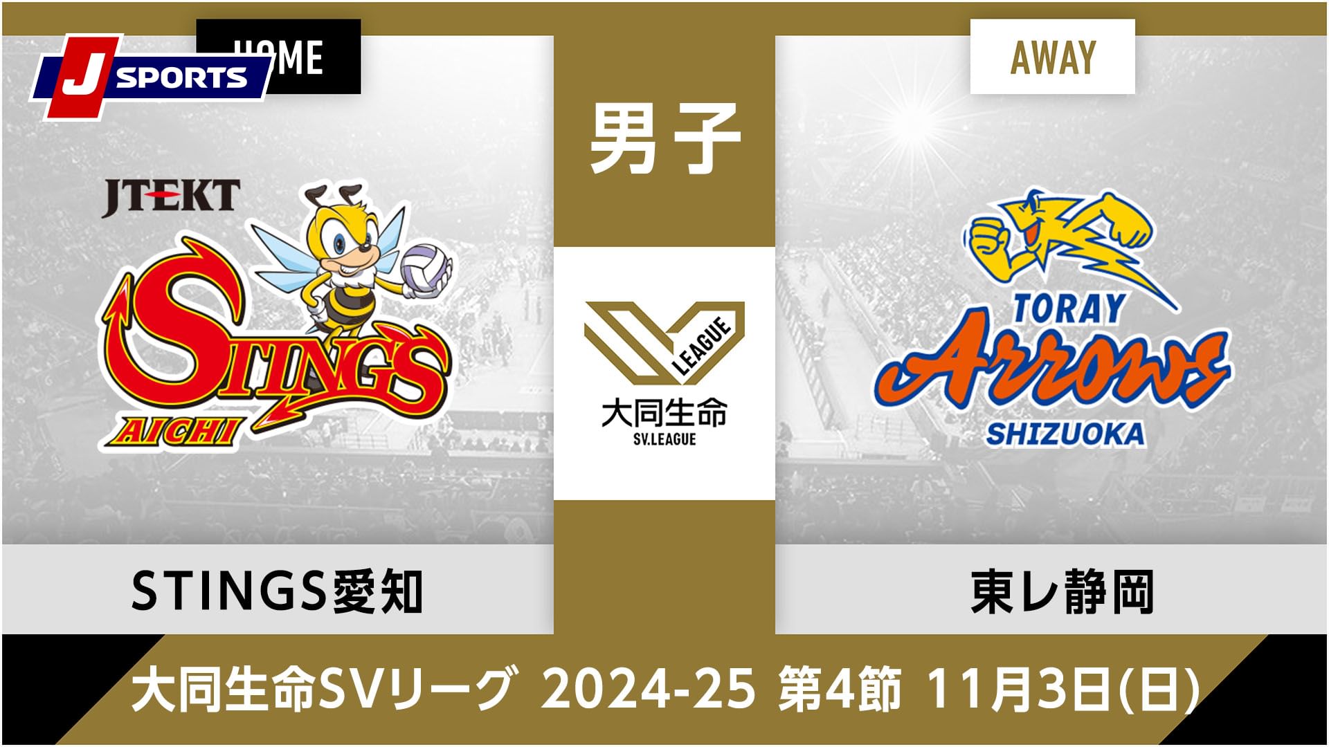 大同生命SVリーグ 2024-25男子 第4節ジェイテクトSTINGS愛知 vs. 東レアローズ静岡(11/03)