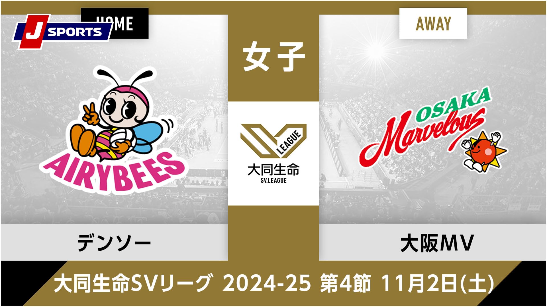 大同生命SVリーグ 2024-25女子 第4節デンソーエアリービーズ、 大阪マーヴェラス(11/02)