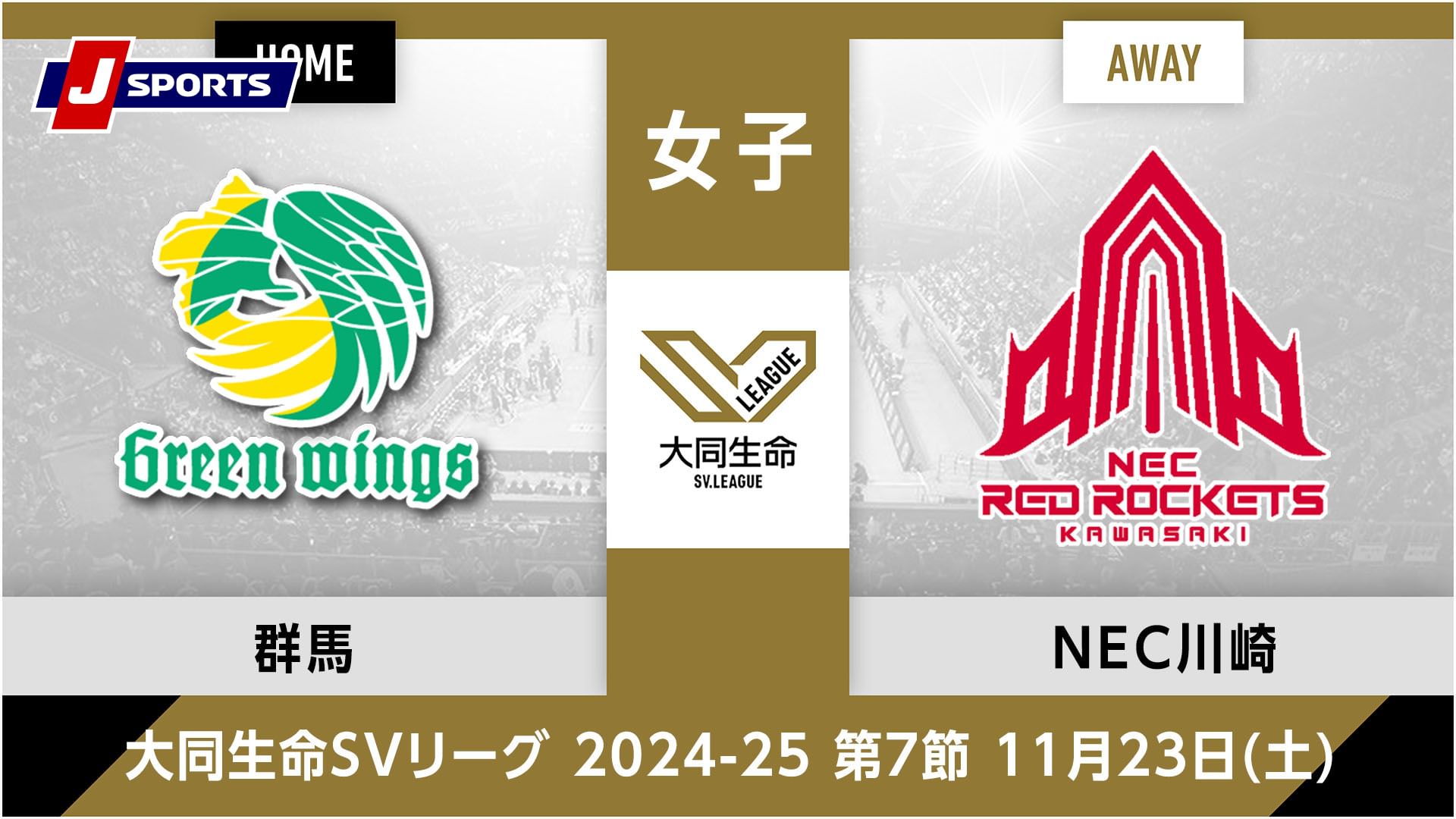 大同生命SVリーグ 2024-25女子 第7節群馬グリーンウイングス vs. NECレッドロケッツ川崎(11/23)