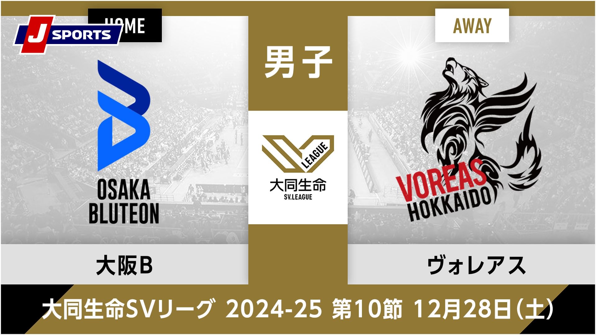 大同生命SVリーグ 2024-25男子 第10節大阪ブルテオン、 ヴォレアス北海道(12/28)