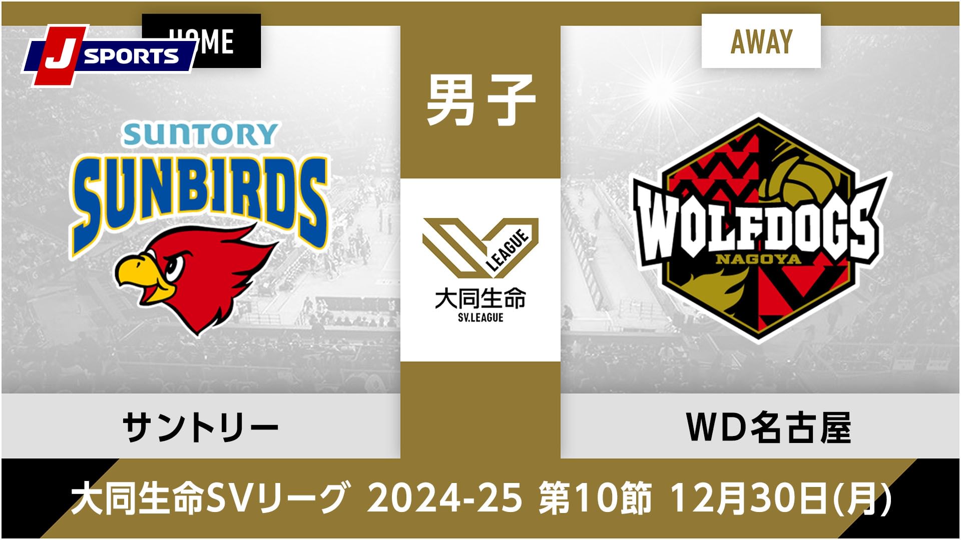 大同生命SVリーグ 2024-25男子 第10節サントリーサンバーズ大阪、 ウルフドッグス名古屋(12/30)