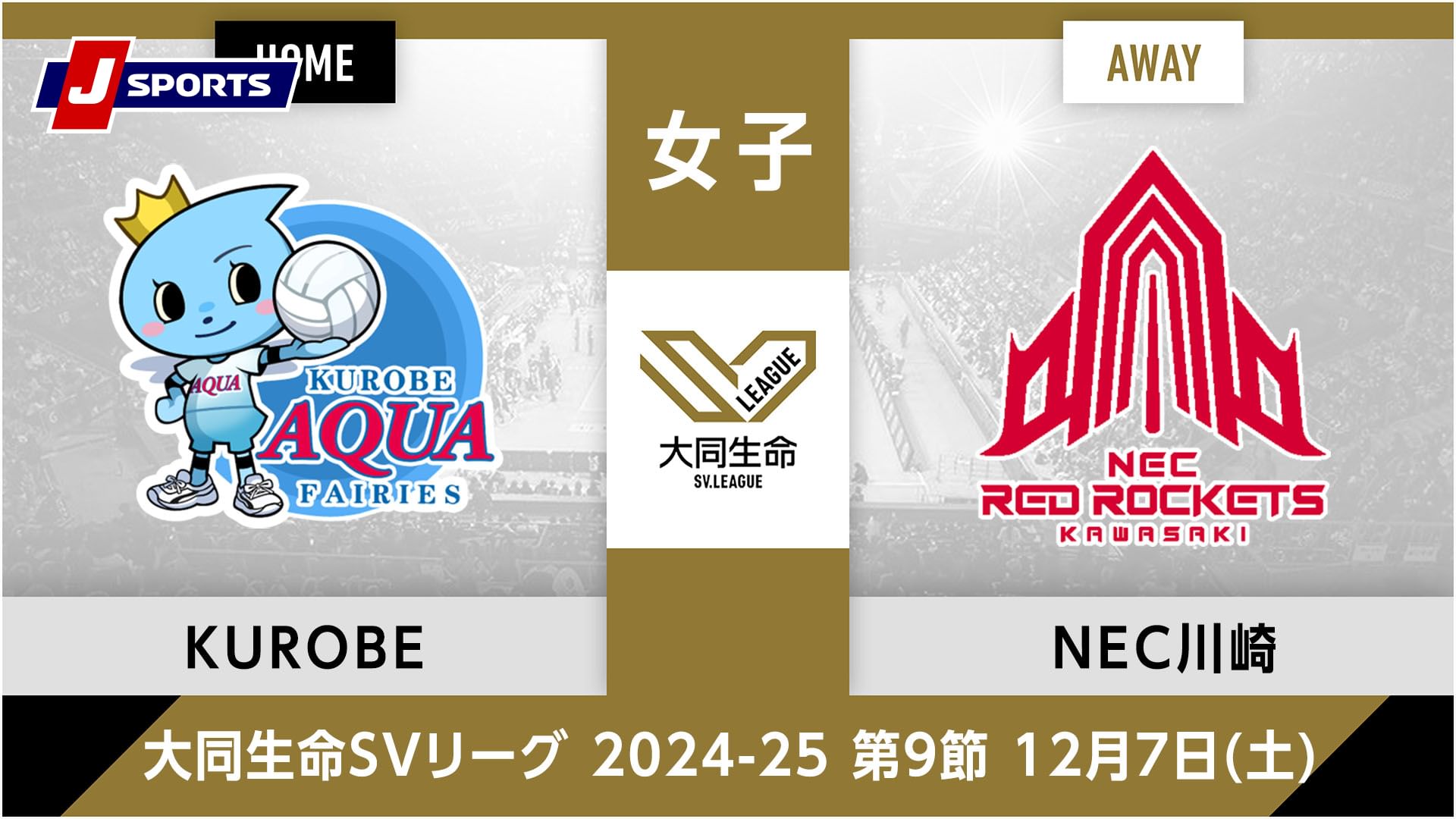 大同生命SVリーグ 2024-25女子 第9節KUROBEアクアフェアリーズ vs. NECレッドロケッツ川崎(12/07)
