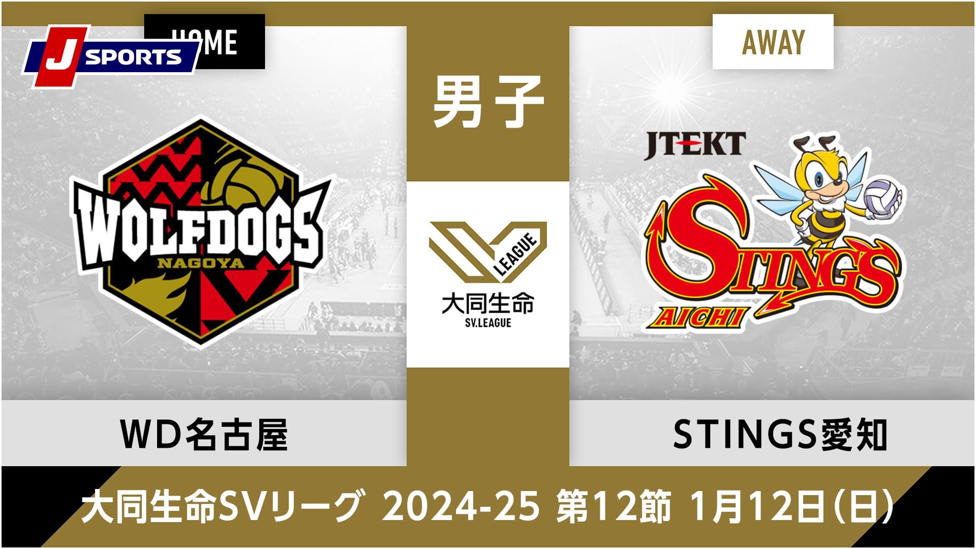 大同生命SVリーグ 2024-25男子 第12節ウルフドッグス名古屋 vs. ジェイテクトSTINGS愛知(01/12)