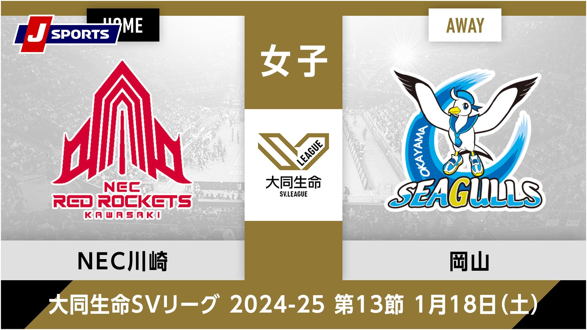 大同生命SVリーグ 2024-25女子 第13節NECレッドロケッツ川崎 vs. 岡山シーガルズ(01/18)