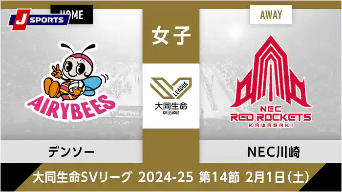 大同生命SVリーグ 2024-25女子 第14節デンソーエアリービーズ vs. NECレッドロケッツ川崎(02/01)