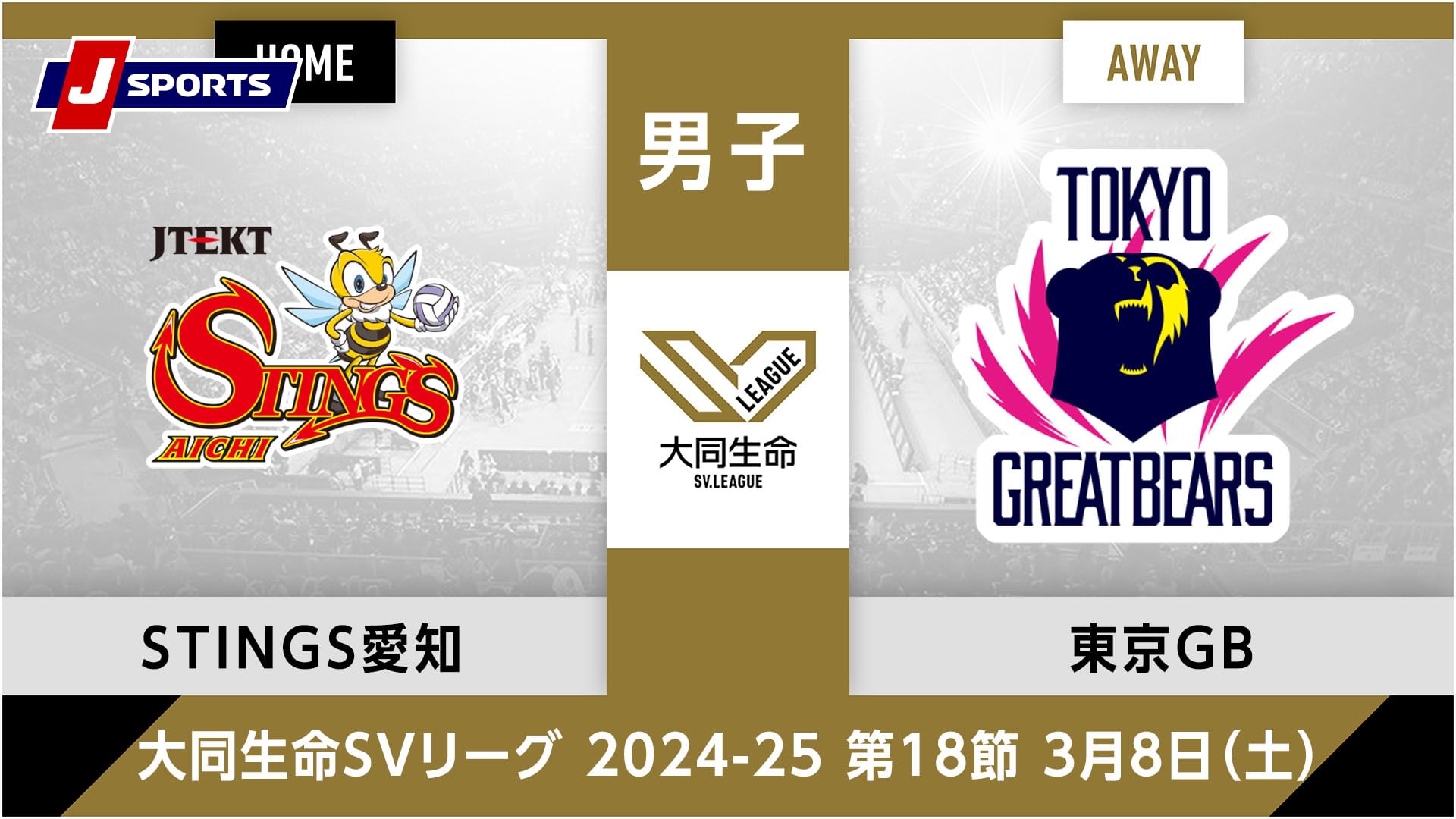 大同生命SVリーグ 2024-25男子 第18節ジェイテクトSTINGS愛知 vs. 東京グレートベアーズ(03/08)