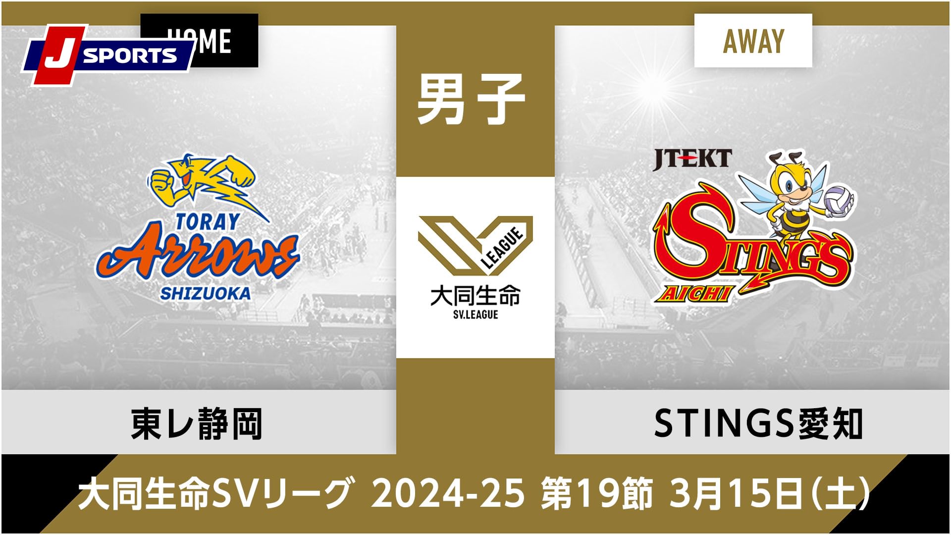 大同生命SVリーグ 2024-25男子 第19節東レアローズ静岡 vs. ジェイテクトSTINGS愛知(03/15)
