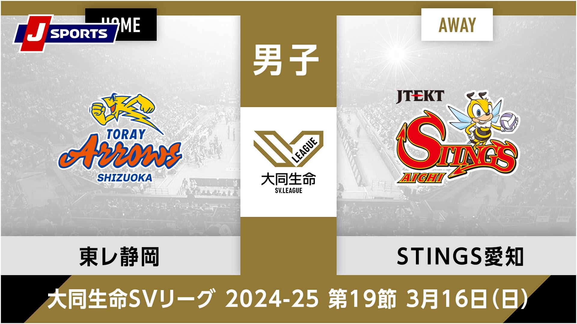 大同生命SVリーグ 2024-25男子 第19節東レアローズ静岡 vs. ジェイテクトSTINGS愛知(03/16)