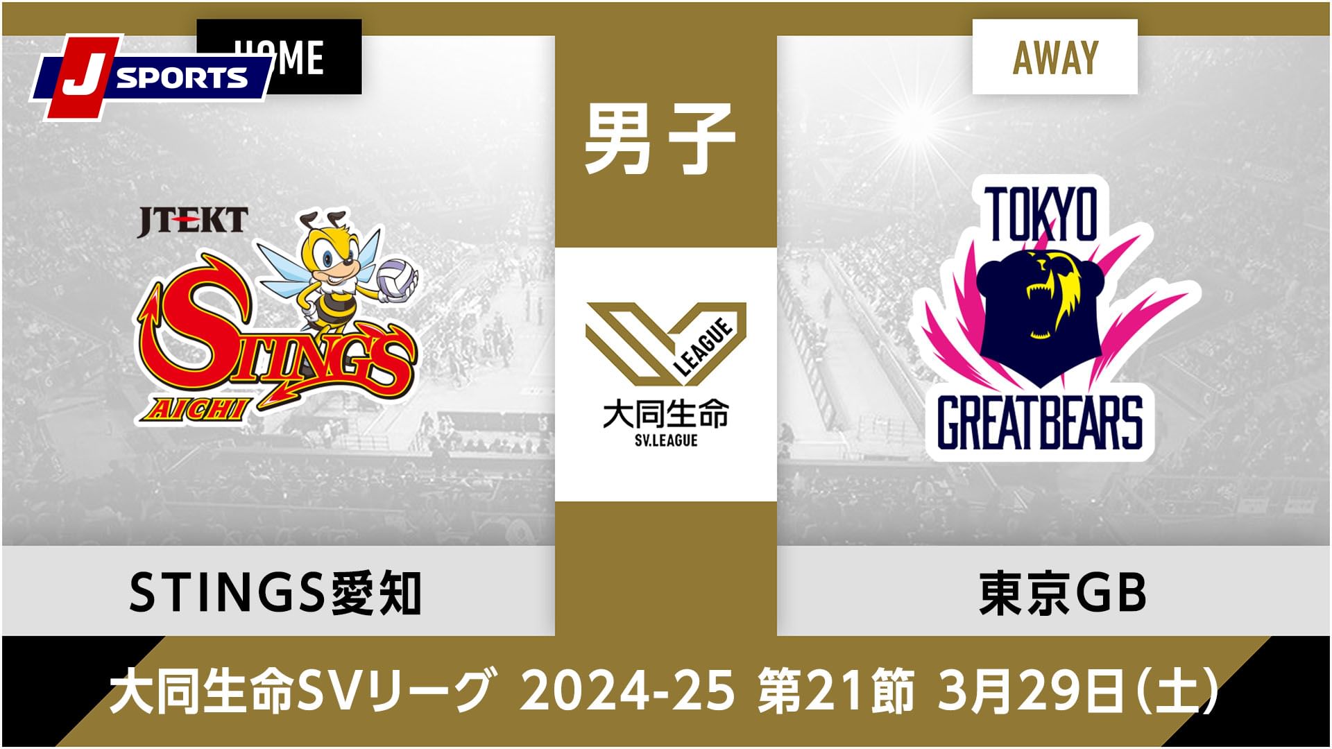 大同生命SVリーグ 2024-25男子 第21節ジェイテクトSTINGS愛知 vs. 東京グレートベアーズ(03/29)