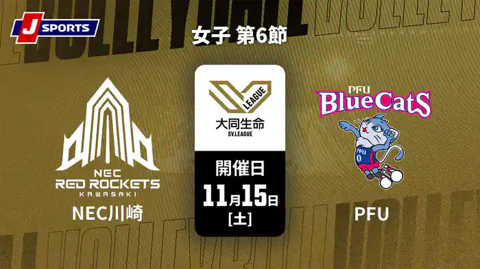 大同生命SVリーグ 2025-26 女子 第6節 NECレッドロケッツ川崎 vs. PFUブルーキャッツ石川かほく(11/15)