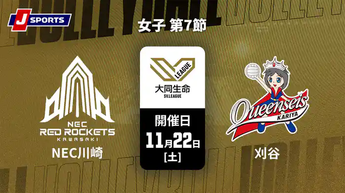 大同生命SVリーグ 2025-26 女子 第7節 NECレッドロケッツ川崎 vs. クインシーズ刈谷(11/22)