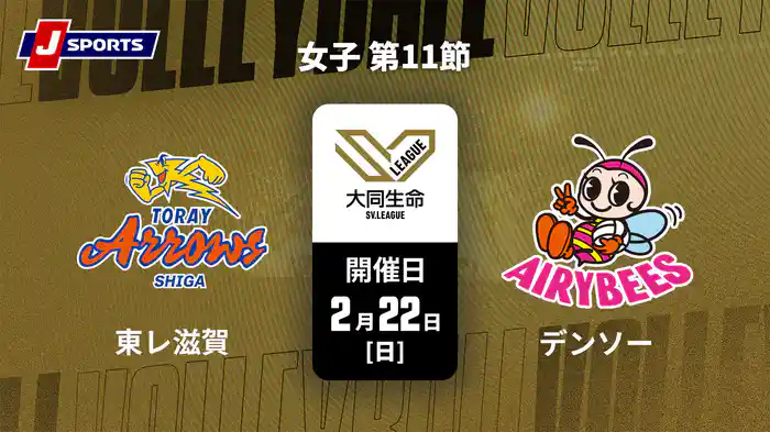 大同生命SVリーグ 2025-26 女子 第11節 東レアローズ滋賀 vs. デンソーエアリービーズ(2/22)