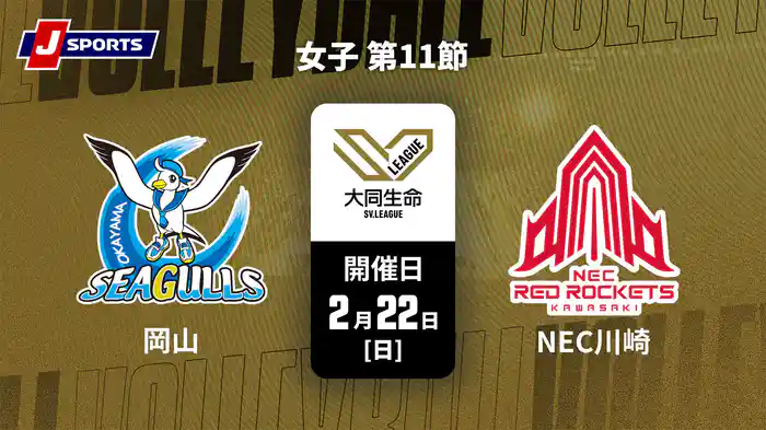 大同生命SVリーグ 2025-26 女子 第11節 岡山シーガルズ vs. NECレッドロケッツ川崎(2/22)