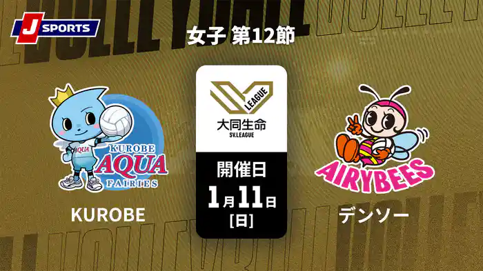 大同生命SVリーグ 2025-26 女子 第12節 KUROBEアクアフェアリーズ vs. デンソーエアリービーズ(1/11)