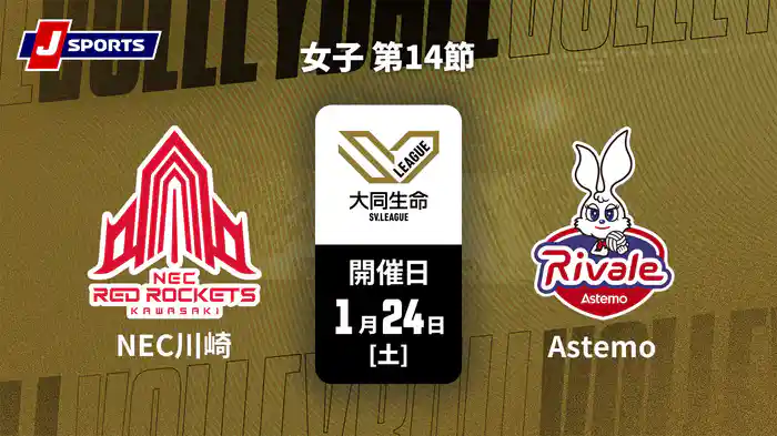 【無料】大同生命SVリーグ 2025-26 女子 第14節 NECレッドロケッツ川崎 vs. Astemoリヴァーレ茨城(1/24)