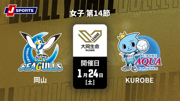 大同生命SVリーグ 2025-26 女子 第14節 岡山シーガルズ vs. ＫＵＲＯＢＥアクアフェアリーズ(1/24)