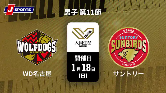大同生命SVリーグ 2025-26 男子 第11節 ウルフドッグス名古屋 vs. サントリーサンバーズ大阪(1/18)