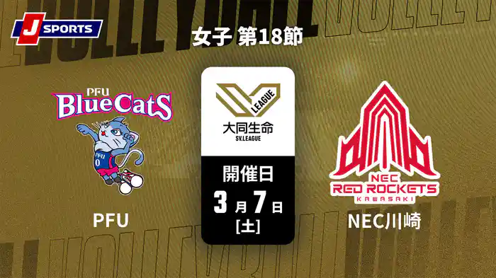 大同生命SVリーグ 2025-26 女子 第18節 PFUブルーキャッツ石川かほく vs. NECレッドロケッツ川崎(3/7)
