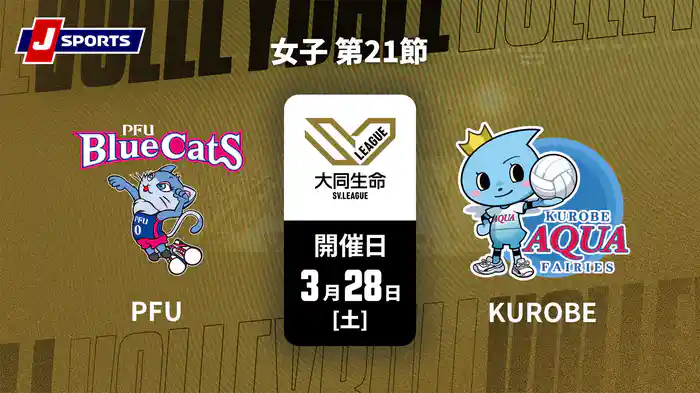 大同生命SVリーグ 2025-26 女子 第21節 PFUブルーキャッツ石川かほく vs. ＫＵＲＯＢＥアクアフェアリーズ(3/28)