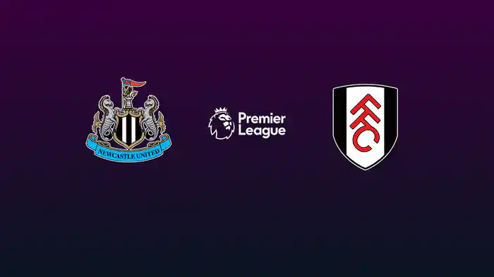 第9節 ニューカッスル v フラム 10/25 [プレミアリーグ]