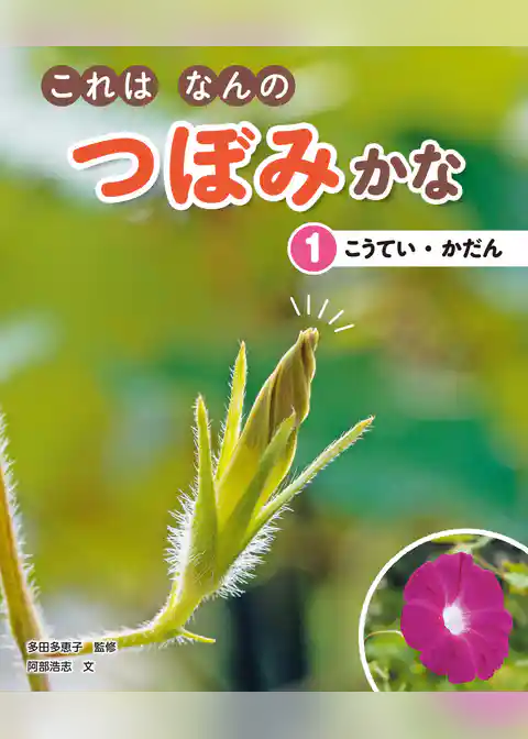 これはなんのつぼみかな (1)こうてい・かだん