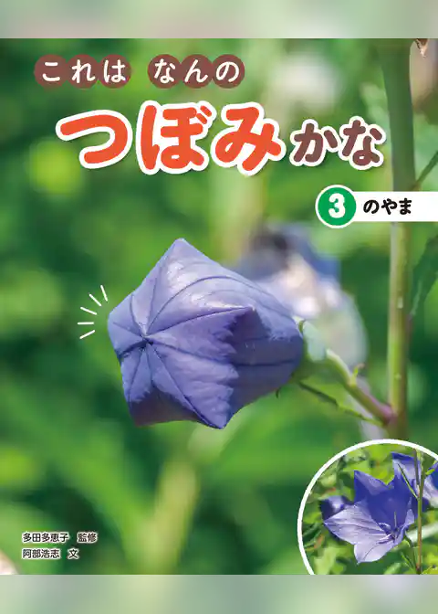これはなんのつぼみかな (3)のやま