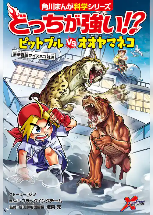どっちが強い!? ピットブルvsオオヤマネコ 豪華客船でイヌネコ対決
