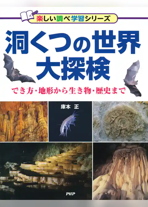洞くつの世界大探検 でき方・地形から生き物・歴史まで