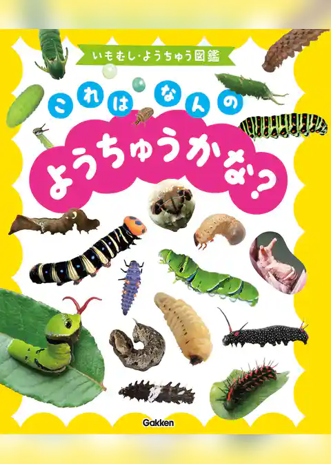 いもむし・ようちゅう図鑑 これはなんのようちゅうかな？
