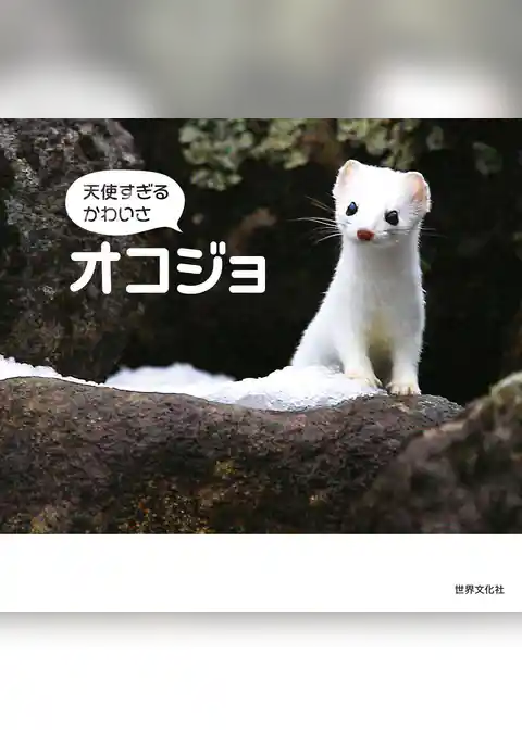 天使すぎるかわいさ オコジョ