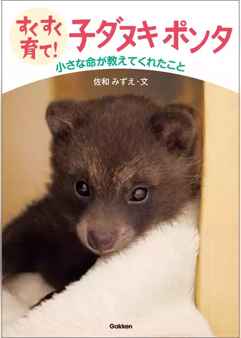 動物感動ノンフィクション すくすく育て！ 子ダヌキ ポンタ