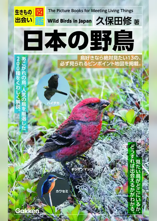 生きもの出会い図鑑 日本の野鳥