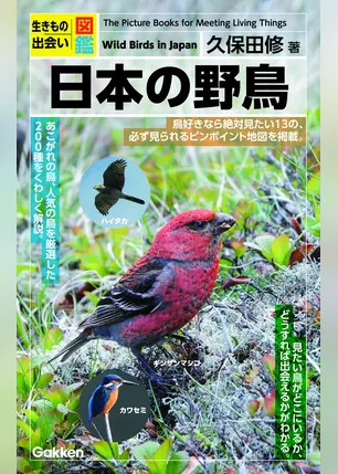 生きもの出会い図鑑 日本の野鳥