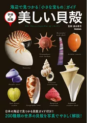 学研の図鑑 美しい貝殻