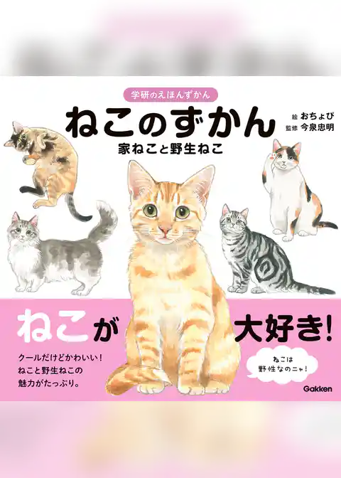 学研のえほんずかん ねこのずかん