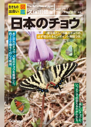 生きもの出会い図鑑 日本のチョウ