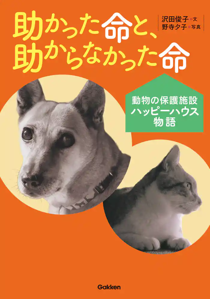 動物感動ノンフィクション 助かった命と、助からなかった命