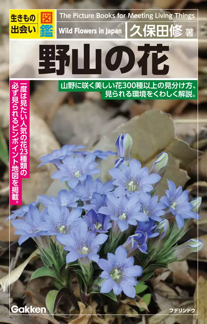 生きもの出会い図鑑 野山の花