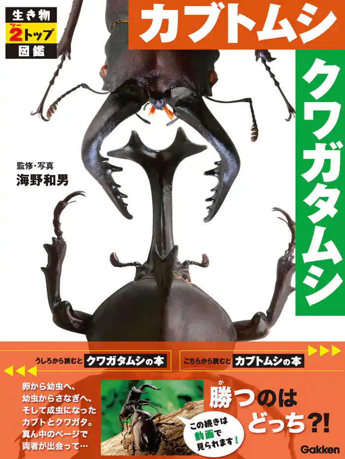 生き物2トップ図鑑 カブトムシ クワガタムシ