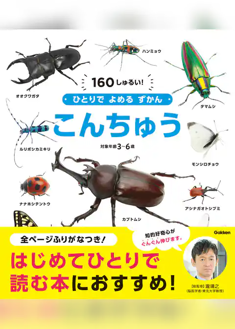 ひとりでよめるずかん こんちゅう