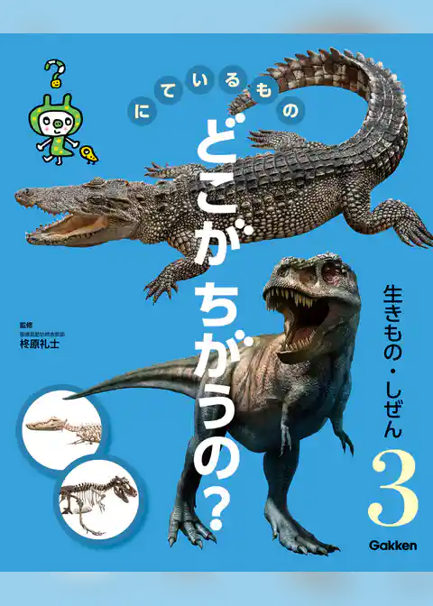 にているもの どこがちがうの？