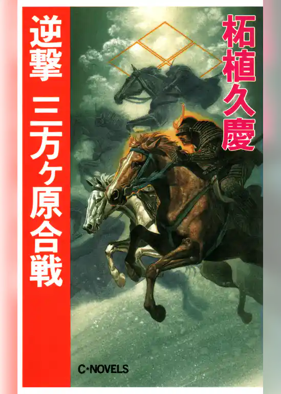 逆撃　三方ケ原合戦