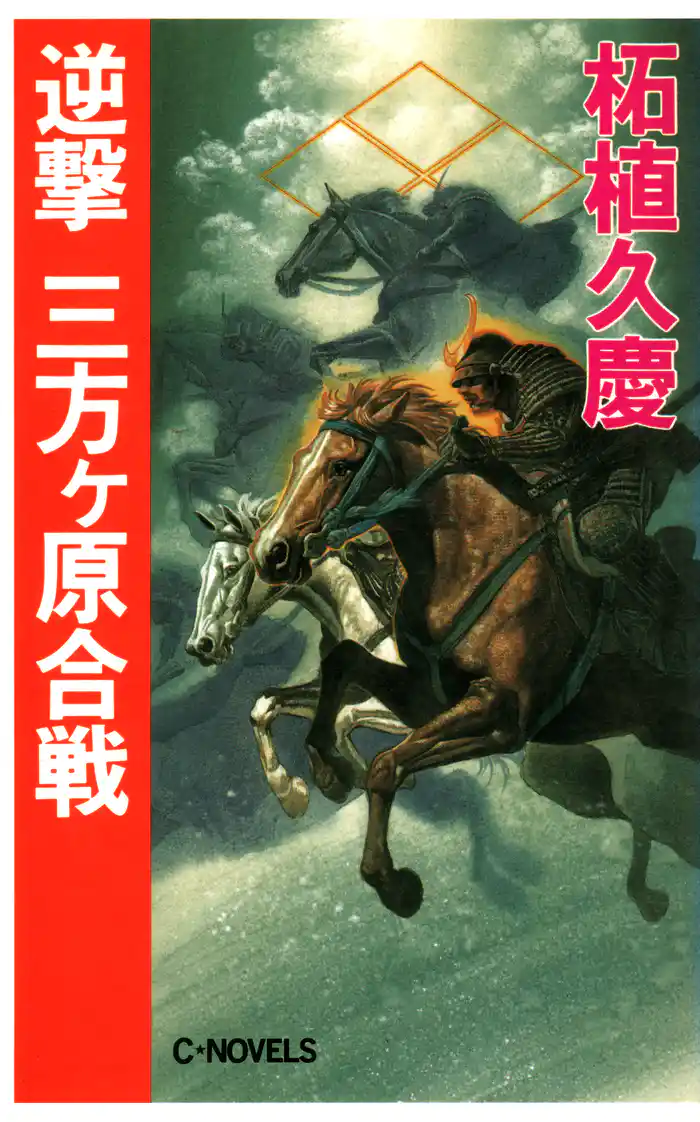 逆撃 三方ケ原合戦