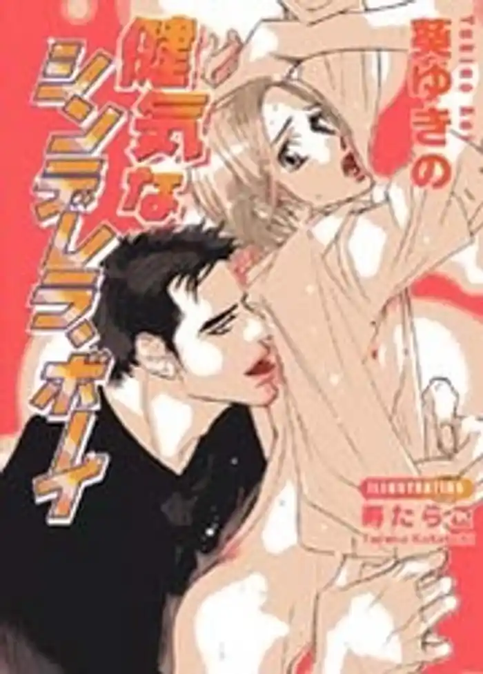 健気なシンデレラボーイ