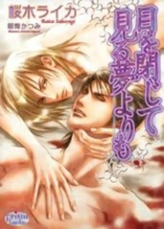 目を閉じて見る夢よりも