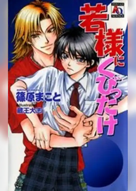 若様にくびったけ