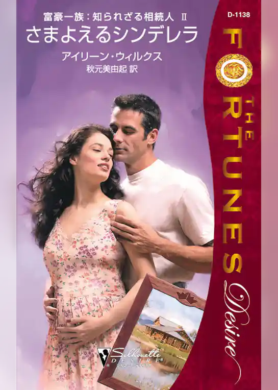 さまよえるシンデレラ