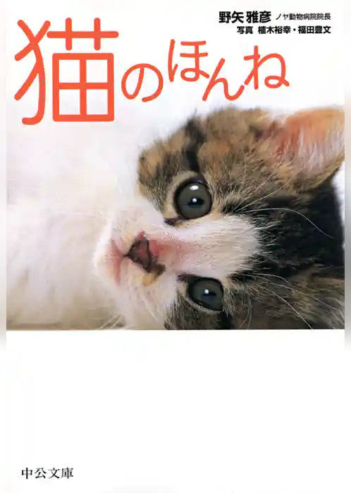 猫のほんね