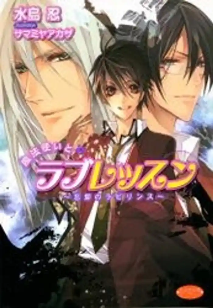 魔法使いとラブレッスン～忘却のラビリンス～